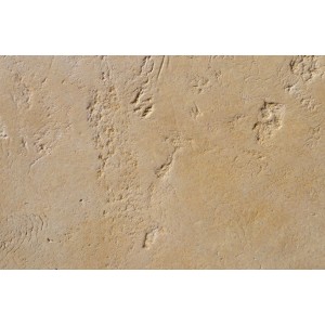 Canyon Каньйон декоративна штукатурка Elf Decor 5 кг, 1-2 кг/м2