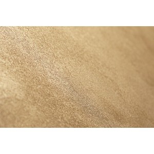 Illusion Gold Ілюзіон Голд декоративна фарба Elf Decor 5 кг, 6 кг/м2 Illusion Gold Ілюзіон Голд декоративна фарба Elf Decor 5 кг, 6 кг/м2