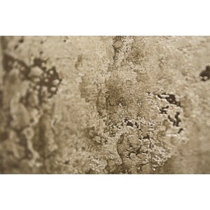 Illusion Gold Ілюзіон Голд декоративна фарба Elf Decor 5 кг, 6 кг/м2 Illusion Gold Ілюзіон Голд декоративна фарба Elf Decor 5 кг, 6 кг/м2