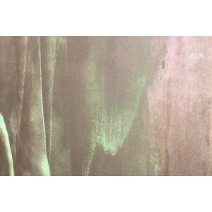 Illusion Gold Ілюзіон Голд декоративна фарба Elf Decor 5 кг, 6 кг/м2 Illusion Gold Ілюзіон Голд декоративна фарба Elf Decor 5 кг, 6 кг/м2