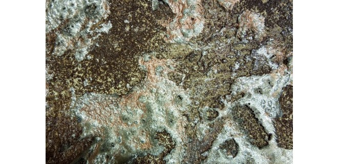 Галерея фактур URBANIA Eльф Decor - декоративне покриття