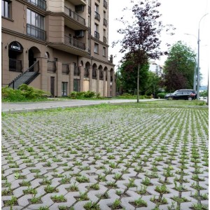 Тротуарна плитка Решітка h 80 мм, сіра