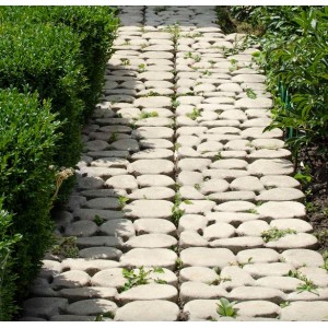 Тротуарна плитка Травниця 50х50 см, червона